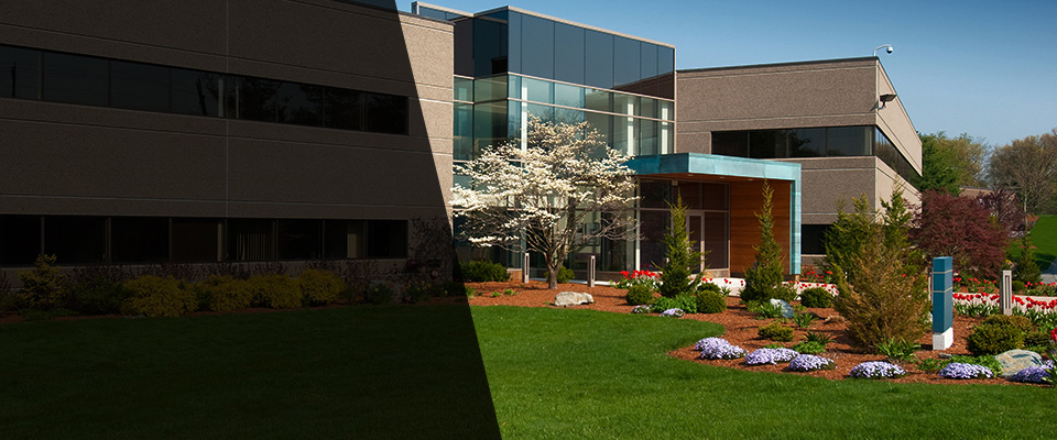 Stanhope Landscapers