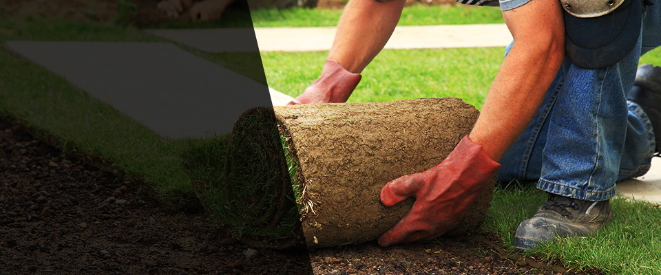 Stanhope Landscapers